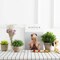 Mini Sage Green Potted Boxwood Topiary Artificial Plants for Home Decor Indoor, Farmhouse House Plant Office Small Desk Shelf Apartment Coffee Bar Bathroom Decor Guest Room, Small Fake Plant